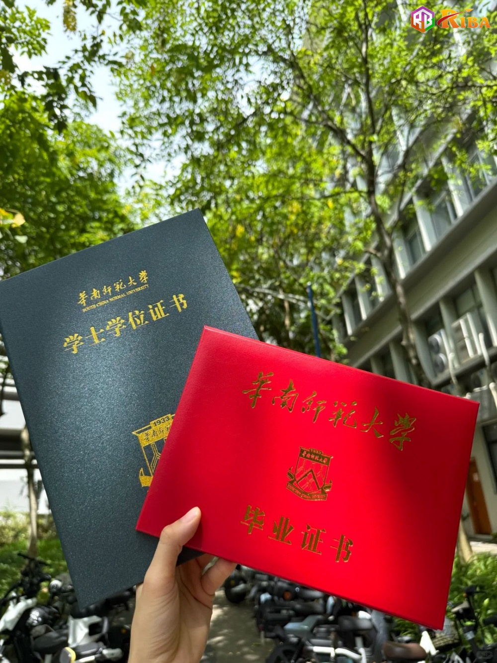 Giá Trị Bằng Cấp Và Cơ Hội Việc Làm Du Học Trung Quốc Hệ Tiếng Anh 2026