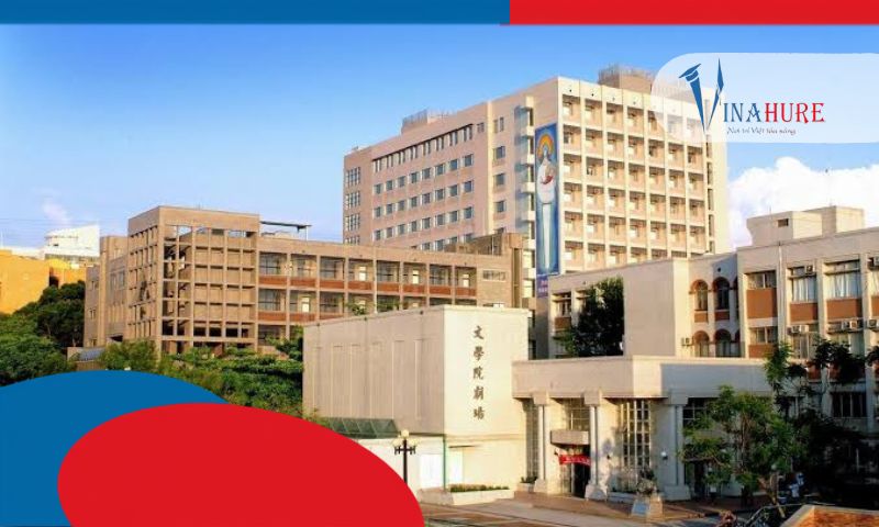 Học bổng 1+4 kỳ xuân: Cách tìm trường có học bổng và chi phí hợp lý